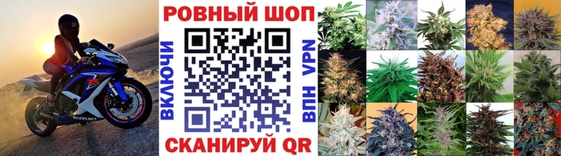 НБОМе Нефтегорск