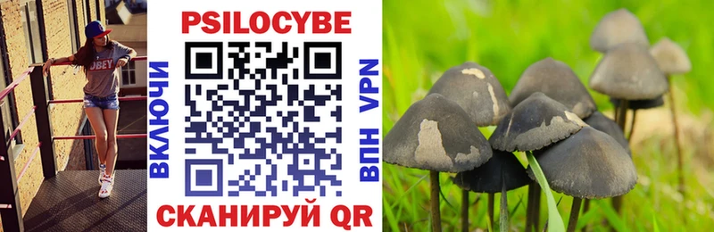 hydra ONION  shop клад  Нефтегорск  Псилоцибиновые грибы GOLDEN TEACHER  где найти наркотики 